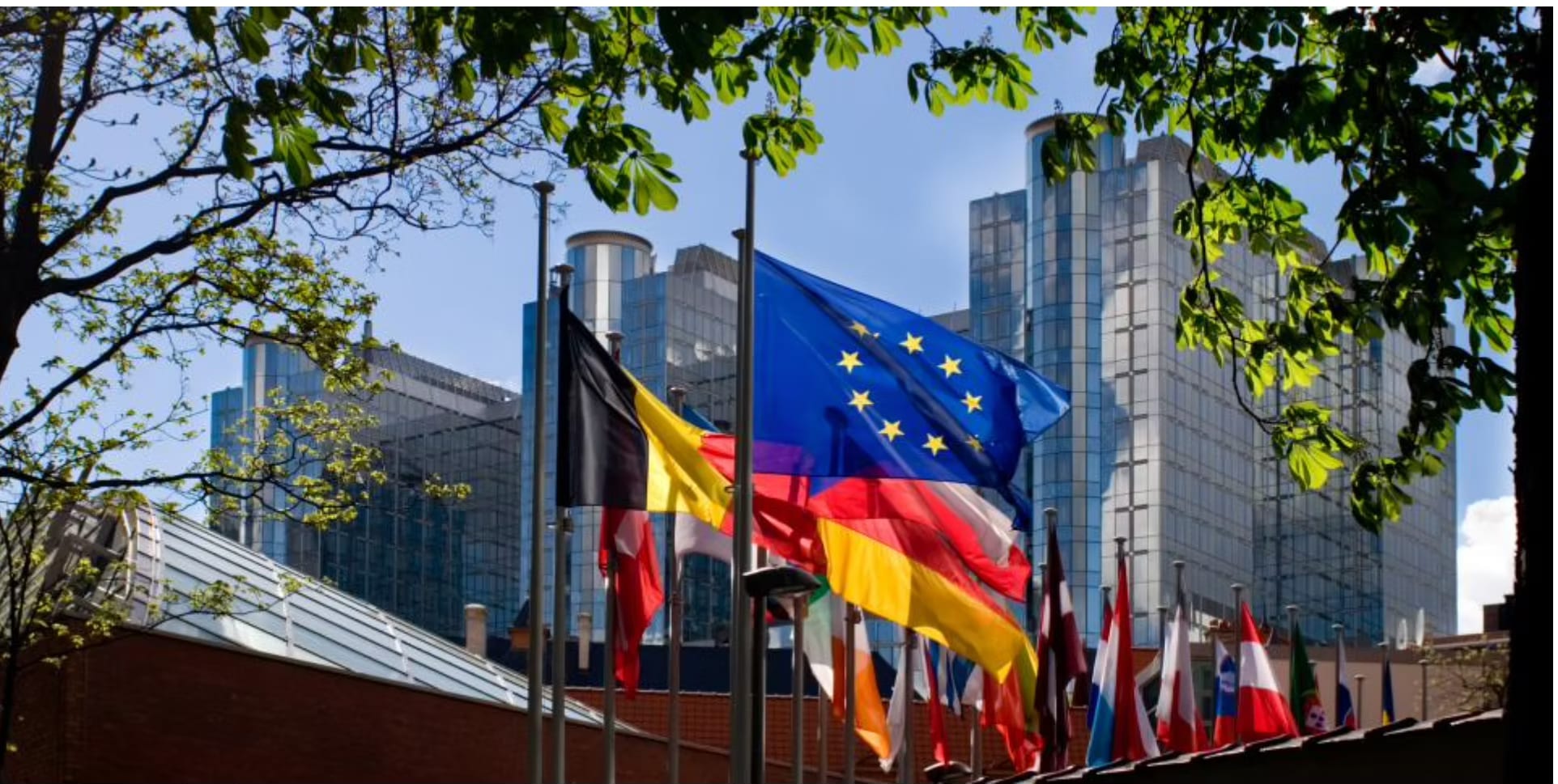 Les drapeaux des États membres et de l'Union européenne, devant le Parlement européen à Bruxelles.